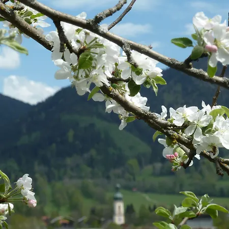 Zum Heisn Apartman *