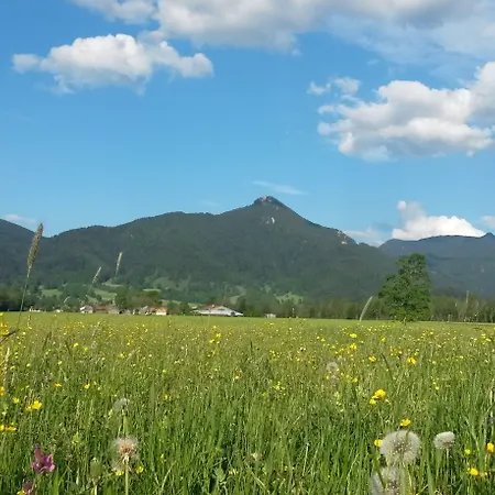 Zum Heisn Apartman