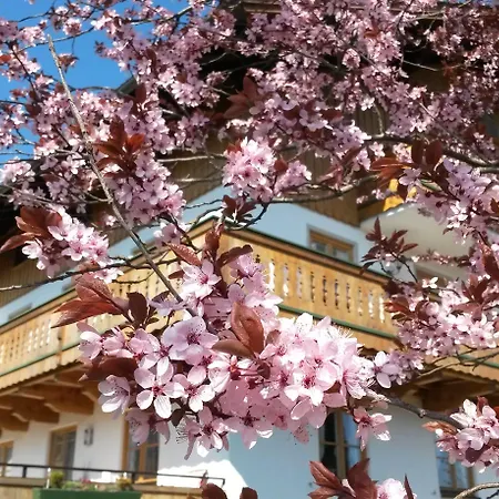 Zum Heisn Apartmán *