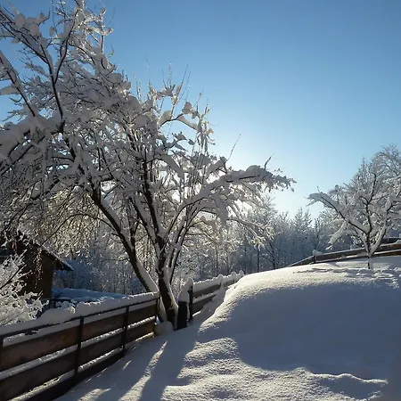 Zum Heisn Apartmán *