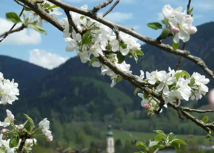 Zum Heisn